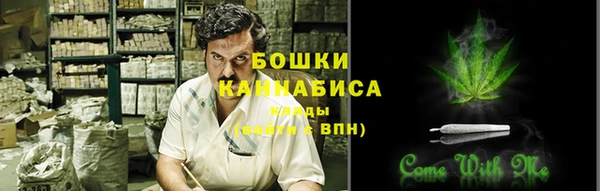 прущие грибы Абдулино