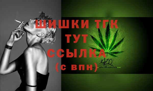 ПСИЛОЦИБИНОВЫЕ ГРИБЫ Абаза