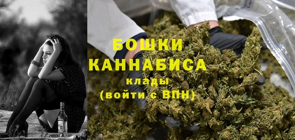 ПСИЛОЦИБИНОВЫЕ ГРИБЫ Абаза