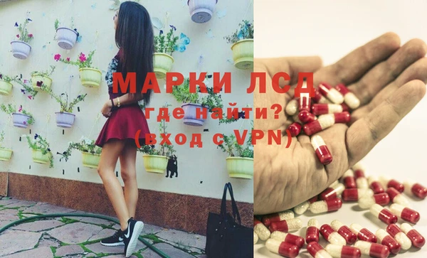 прущие грибы Абдулино