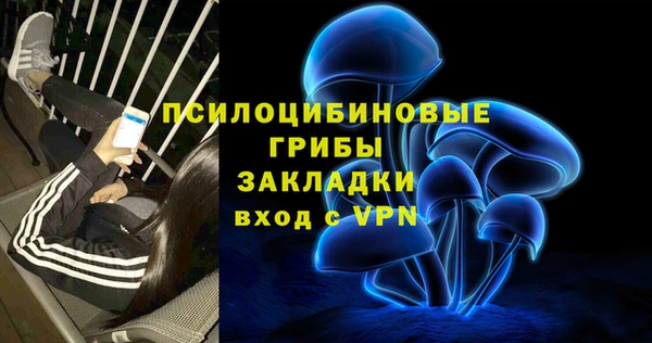 ПСИЛОЦИБИНОВЫЕ ГРИБЫ Абаза