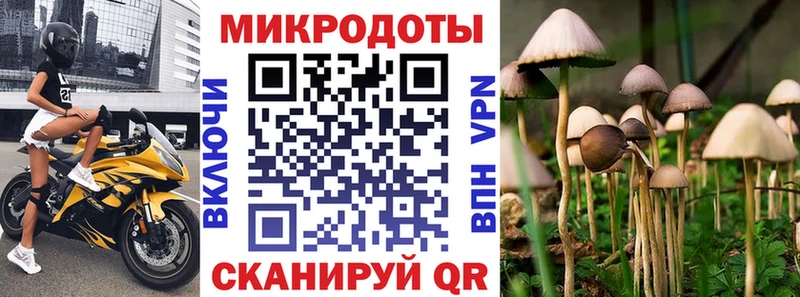 закладки  Новое Девяткино  blacksprut вход  Галлюциногенные грибы прущие грибы 